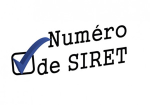 obtenir un numéro SIREN ou SIRET au Maroc